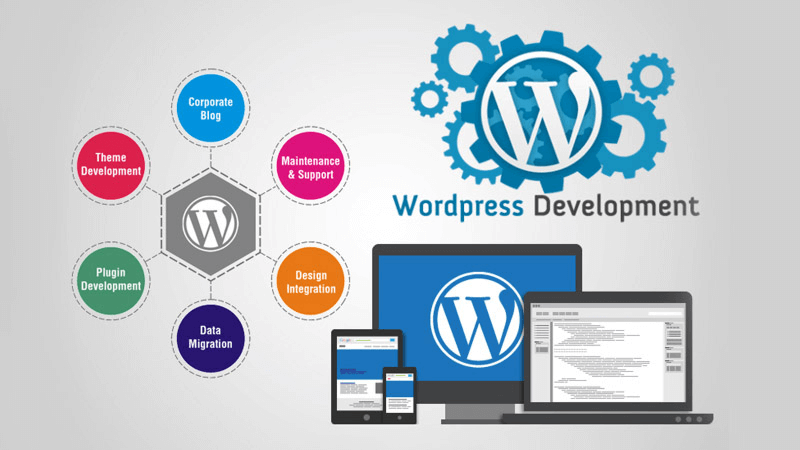 Có thể tùy biến trên website WordPress